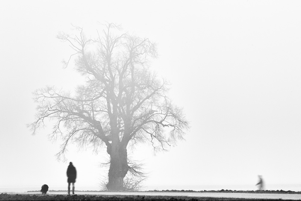 4. Platz Conny Kleiner